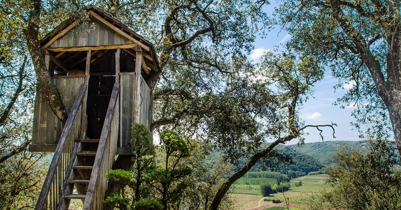 Cabane dans les arbres en famille : ce que personne ne vous dit