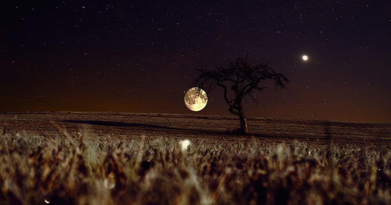Bivouac en pleine nature : conseils pour une nuit sous les étoiles