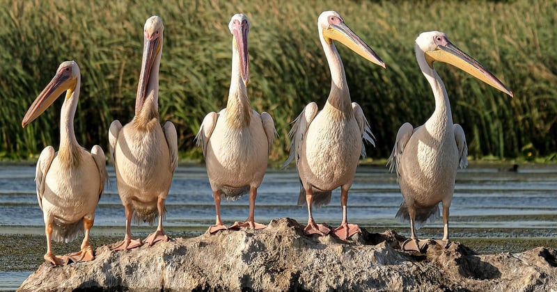 Écotourisme : 15 destinations nature respectueuses de l'environnement