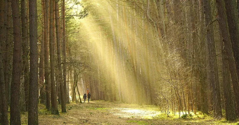 Des activités pour deux qui sortent du sentier battu