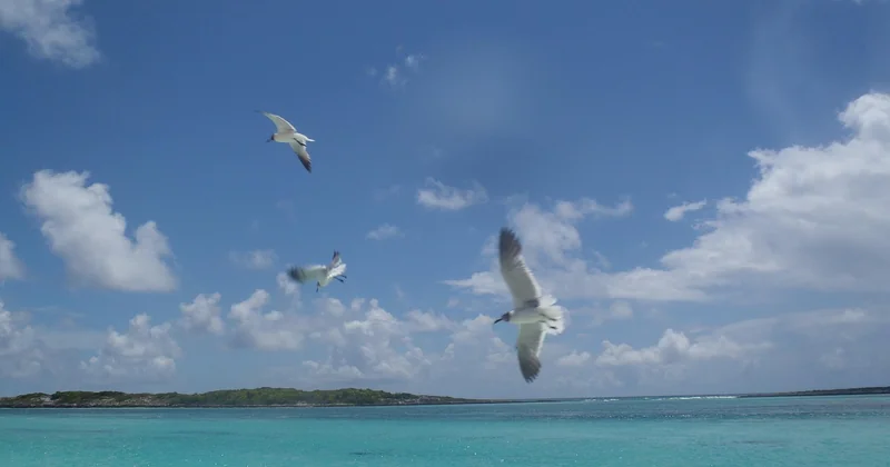 Choisir une destination nature respectueuse de l'environnement