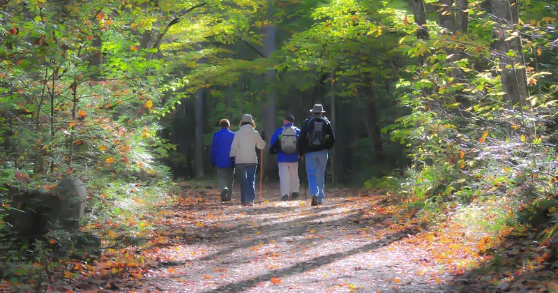 Comment choisir un sentier adapté à votre niveau réel
